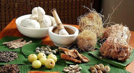 Folk remedies tegen parasieten in het lichaam