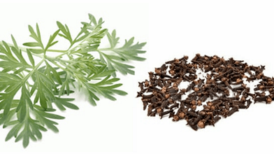 Kruidnagel en wormwood voor het elimineren van parasieten uit het lichaam