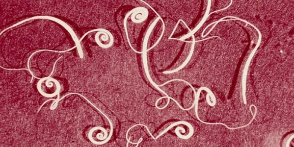 foto van menselijke parasieten